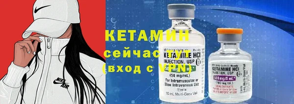 хмурый Аркадак