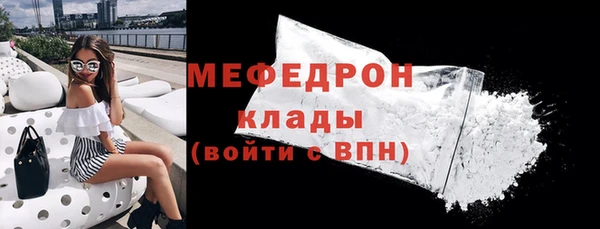 хмурый Аркадак