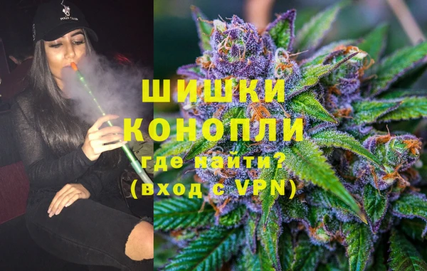 хмурый Аркадак