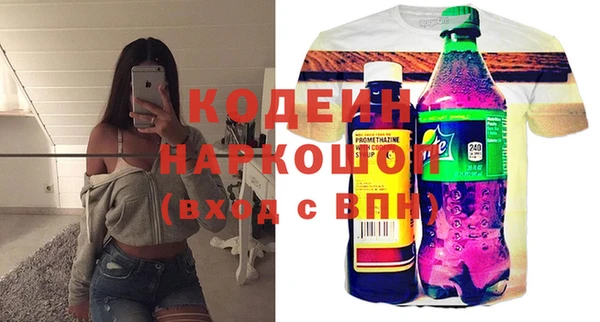 хмурый Аркадак