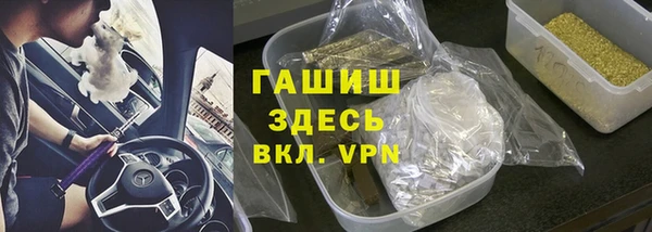 хмурый Аркадак