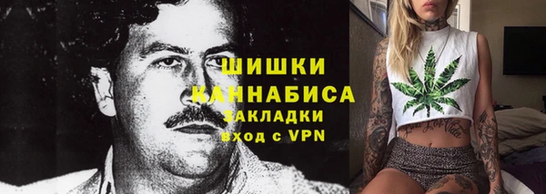 хмурый Аркадак