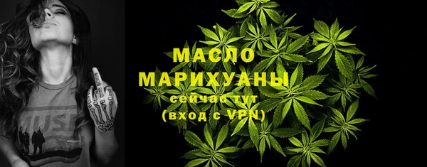 хмурый Аркадак