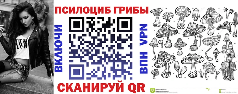 Галлюциногенные грибы Psilocybe Тогучин